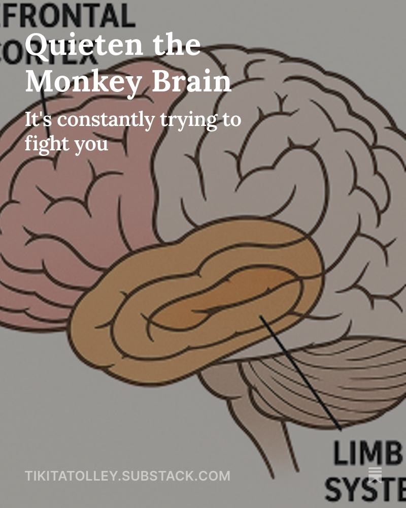 Quieten the Monkey Brain